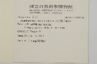 玉山抱莖籟簫藏品圖，第2張