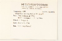 紅面番藏品圖，第2張