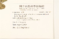 福山氏飛蓬藏品圖，第2張