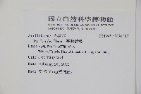 臺灣糊樗藏品圖，第2張