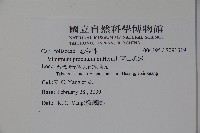 高山莢迷藏品圖，第2張