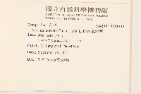 蔓澤蘭藏品圖，第2張