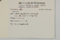 登錄號:S091360藏品圖，第2張