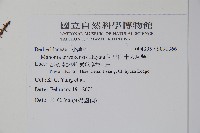 阿里山十大功勞藏品圖，第2張