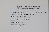 臺灣小蘗藏品圖，第2張