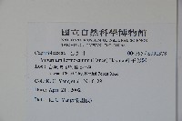 紅子莢迷藏品圖，第2張