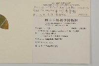 臺灣鬼督郵藏品圖，第2張