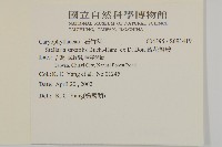 疏花繁縷藏品圖，第2張