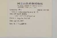 細葉山艾藏品圖，第2張