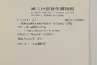 茯苓菜藏品圖，第2張