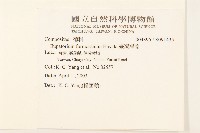 臺灣澤蘭藏品圖，第2張