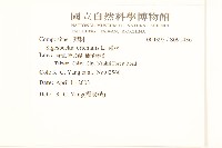 豨薟藏品圖，第2張