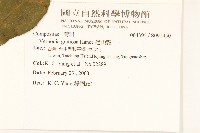 過山龍藏品圖，第2張