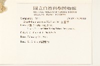 紅面番藏品圖，第2張