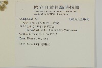 山白蘭藏品圖，第2張