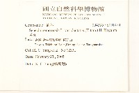 黃菀藏品圖，第2張