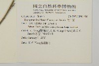 大丁黃藏品圖，第2張