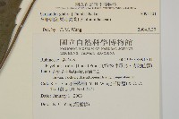 草珊瑚、紅果金粟蘭藏品圖，第2張