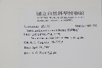 蘭嵌馬藍藏品圖，第2張