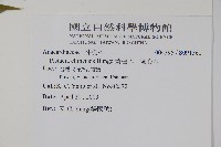 黃連木、爛心木藏品圖，第2張