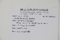 臺灣糊樗藏品圖，第2張