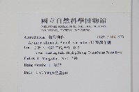 臺灣羊桃藏品圖，第2張