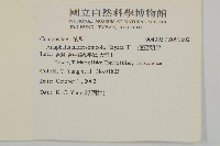玉山抱莖籟簫藏品圖，第2張