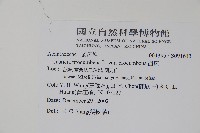 爵床藏品圖，第2張