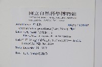 針刺草藏品圖，第2張