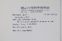 落葵藏品圖，第2張