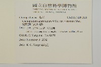 變葉藜、毛綠珠藜藏品圖，第2張