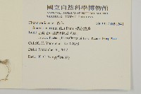 裸花鹼蓬藏品圖，第2張