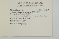 臭杏、土荊芥藏品圖，第2張