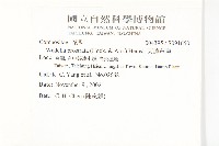 天蓬草舅藏品圖，第2張