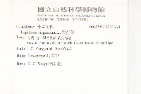 獨行菜藏品圖，第2張