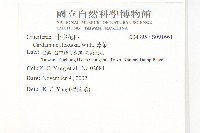 焊菜藏品圖，第2張