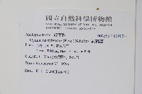 武靴藤藏品圖，第2張