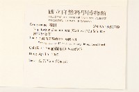 田代氏澤蘭藏品圖，第2張
