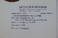 高山莢迷藏品圖，第2張