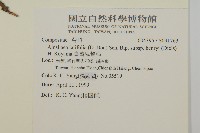 臺灣鬼督郵藏品圖，第2張