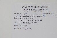 爵床藏品圖，第2張