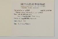 荷蓮豆草、菁芳草藏品圖，第2張