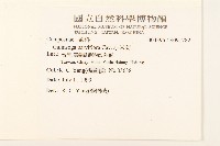 小米菊藏品圖，第2張