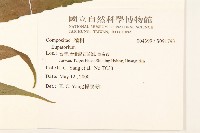 登錄號:S091793藏品圖，第2張