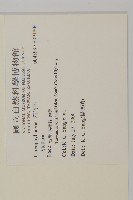 登錄號:S091804藏品圖，第2張