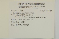 山白蘭藏品圖，第2張