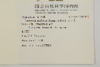 大丁黃藏品圖，第2張