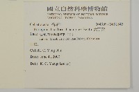 大丁黃藏品圖，第2張