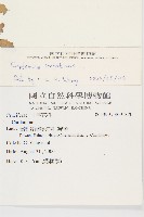 水花菜藏品圖，第2張