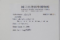 登錄號:S091871藏品圖，第2張